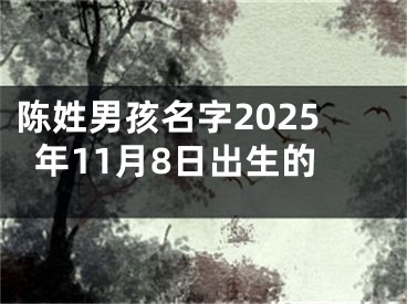 陈姓男孩名字2025年11月8日出生的