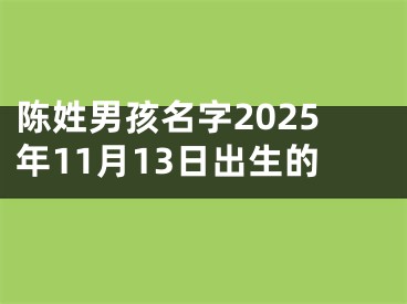 陈姓男孩名字2025年11月13日出生的