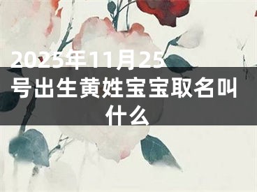 2025年11月25号出生黄姓宝宝取名叫什么