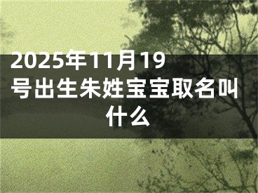 2025年11月19号出生朱姓宝宝取名叫什么
