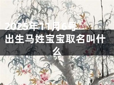 2025年11月6号出生马姓宝宝取名叫什么