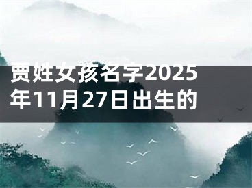 贾姓女孩名字2025年11月27日出生的