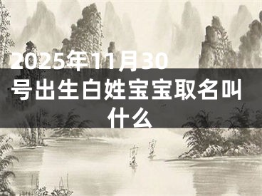 2025年11月30号出生白姓宝宝取名叫什么