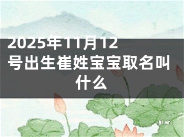 2025年11月12号出生崔姓宝宝取名叫什么