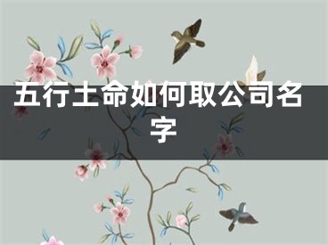 五行土命如何取公司名字