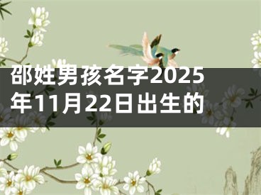 邵姓男孩名字2025年11月22日出生的