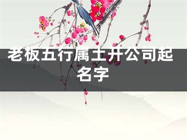 老板五行属土开公司起名字
