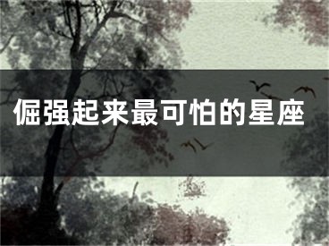 倔强起来最可怕的星座