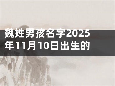 魏姓男孩名字2025年11月10日出生的
