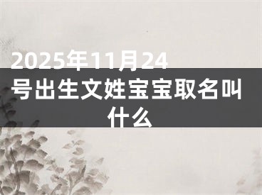2025年11月24号出生文姓宝宝取名叫什么