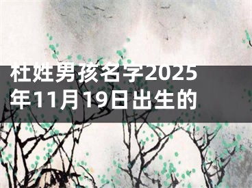 杜姓男孩名字2025年11月19日出生的
