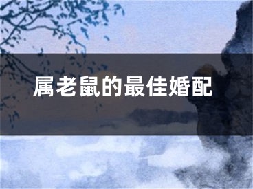 属老鼠的最佳婚配