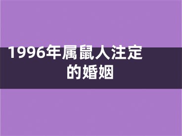 1996年属鼠人注定的婚姻