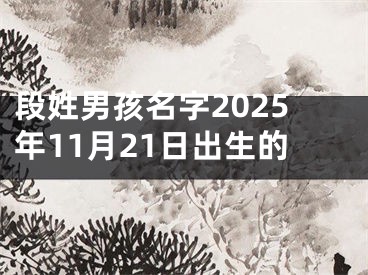 段姓男孩名字2025年11月21日出生的