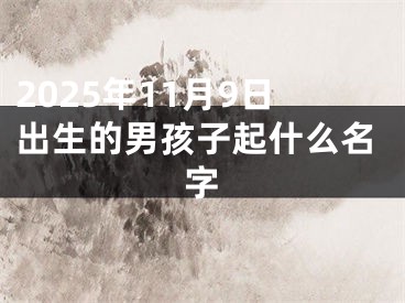 2025年11月9日出生的男孩子起什么名字
