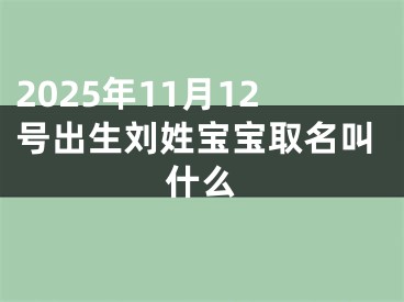 2025年11月12号出生刘姓宝宝取名叫什么