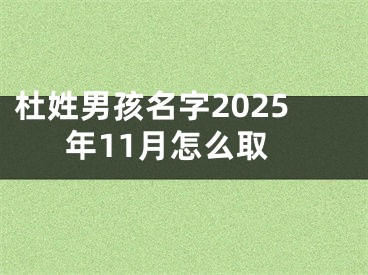 杜姓男孩名字2025年11月怎么取