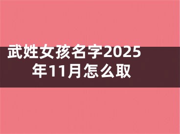 武姓女孩名字2025年11月怎么取