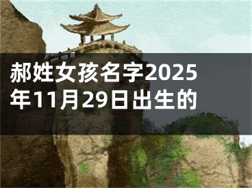 郝姓女孩名字2025年11月29日出生的