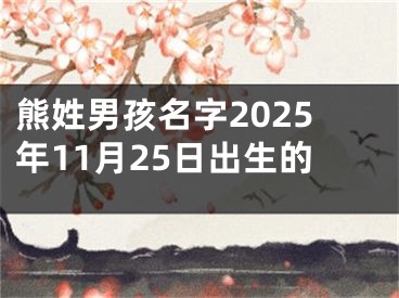 熊姓男孩名字2025年11月25日出生的