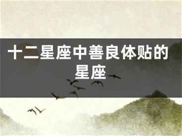 十二星座中善良体贴的星座