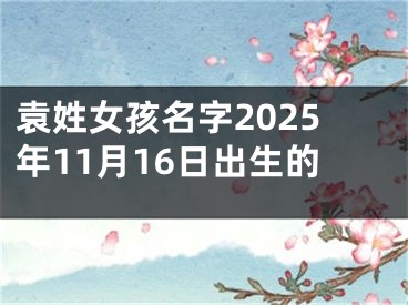 袁姓女孩名字2025年11月16日出生的