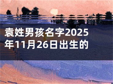 袁姓男孩名字2025年11月26日出生的