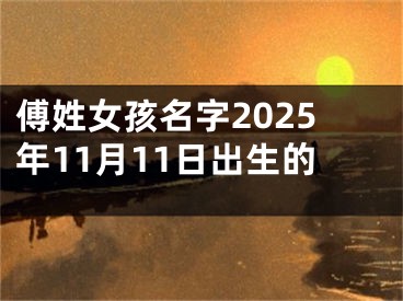 傅姓女孩名字2025年11月11日出生的