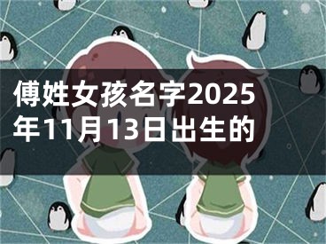 傅姓女孩名字2025年11月13日出生的