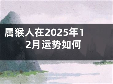 属猴人在2025年12月运势如何