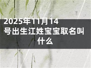2025年11月14号出生江姓宝宝取名叫什么