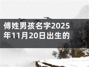 傅姓男孩名字2025年11月20日出生的