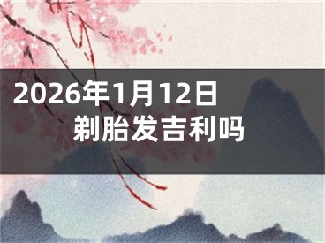 2026年1月12日剃胎发吉利吗