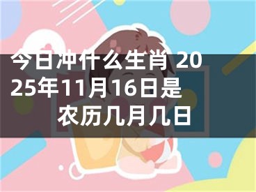 今日冲什么生肖 2025年11月16日是农历几月几日