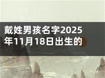 戴姓男孩名字2025年11月18日出生的