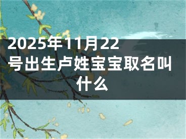 2025年11月22号出生卢姓宝宝取名叫什么