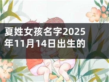 夏姓女孩名字2025年11月14日出生的