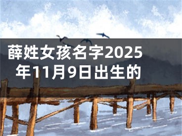 薛姓女孩名字2025年11月9日出生的