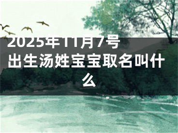 2025年11月7号出生汤姓宝宝取名叫什么
