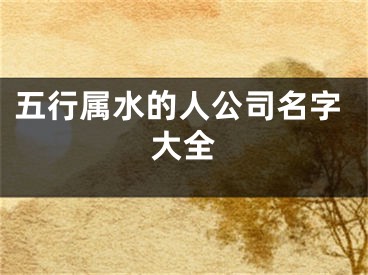 五行属水的人公司名字大全
