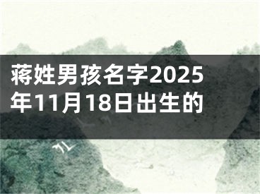 蒋姓男孩名字2025年11月18日出生的