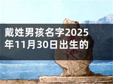 戴姓男孩名字2025年11月30日出生的