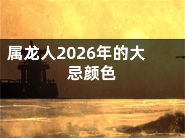 属龙人2026年的大忌颜色