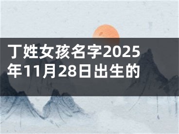 丁姓女孩名字2025年11月28日出生的