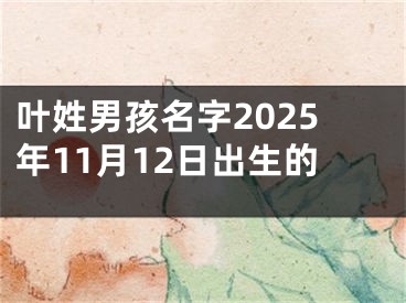 叶姓男孩名字2025年11月12日出生的
