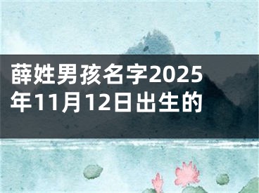 薛姓男孩名字2025年11月12日出生的