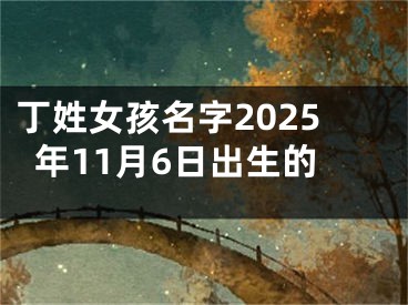 丁姓女孩名字2025年11月6日出生的