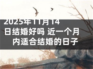 2025年11月14日结婚好吗 近一个月内适合结婚的日子