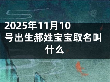 2025年11月10号出生郝姓宝宝取名叫什么