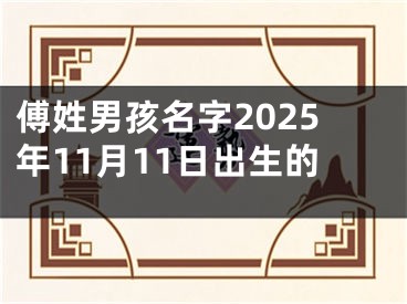 傅姓男孩名字2025年11月11日出生的